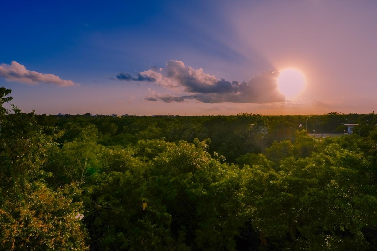 Condo Casa Del Arbol Playa del Carmen Eksteriør billede