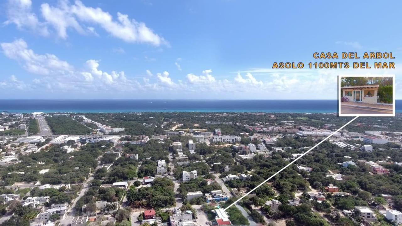 Condo Casa Del Arbol Playa del Carmen Eksteriør billede